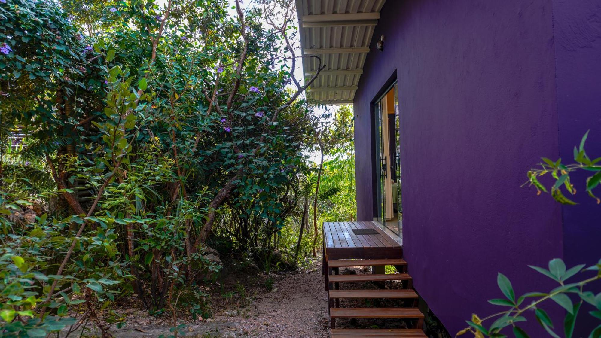 Vila Flor - Chapada Dos Veadeiros Alto Paraíso de Goiás 외부 사진