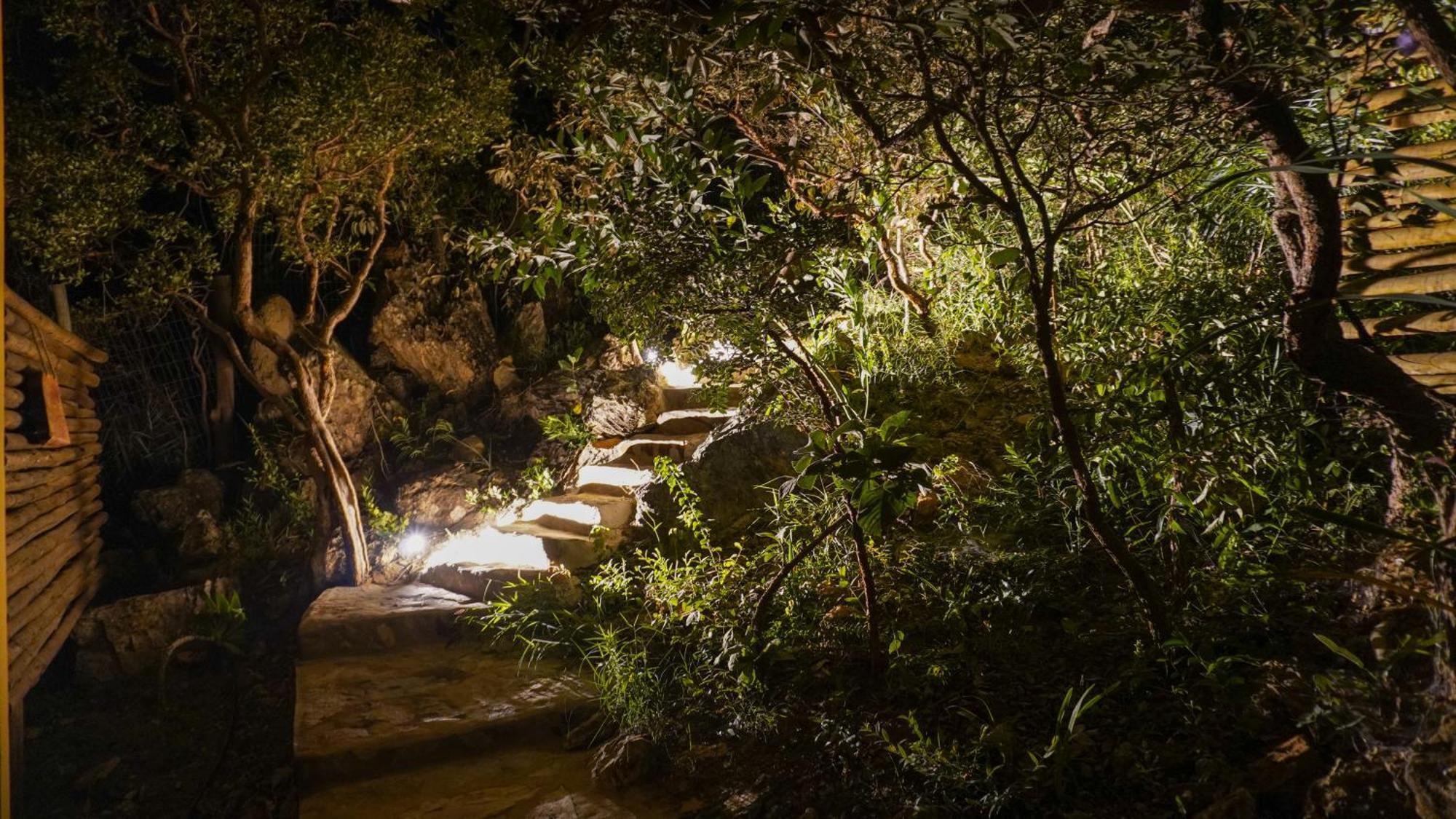 Vila Flor - Chapada Dos Veadeiros Alto Paraíso de Goiás 외부 사진